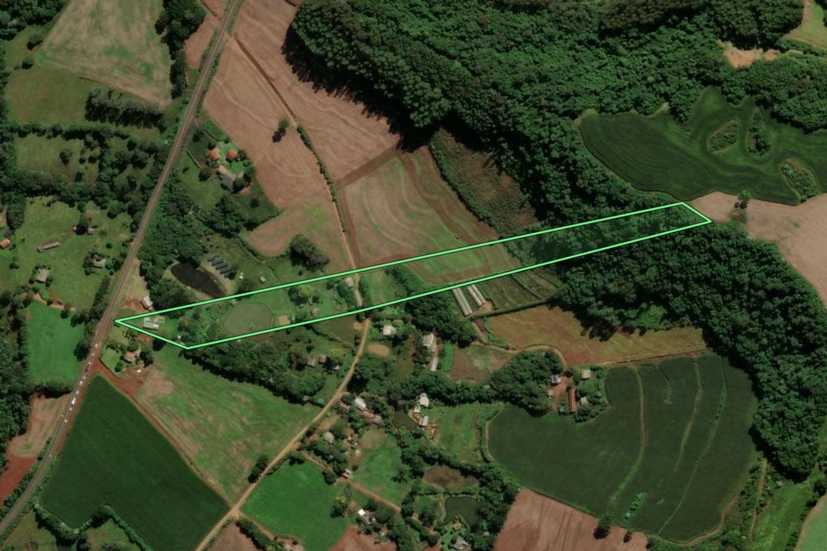 Imagem de satélite do imóvel rural em Francisco Beltrão (PR), com o contorno declarado no CAR desenhado por cima.