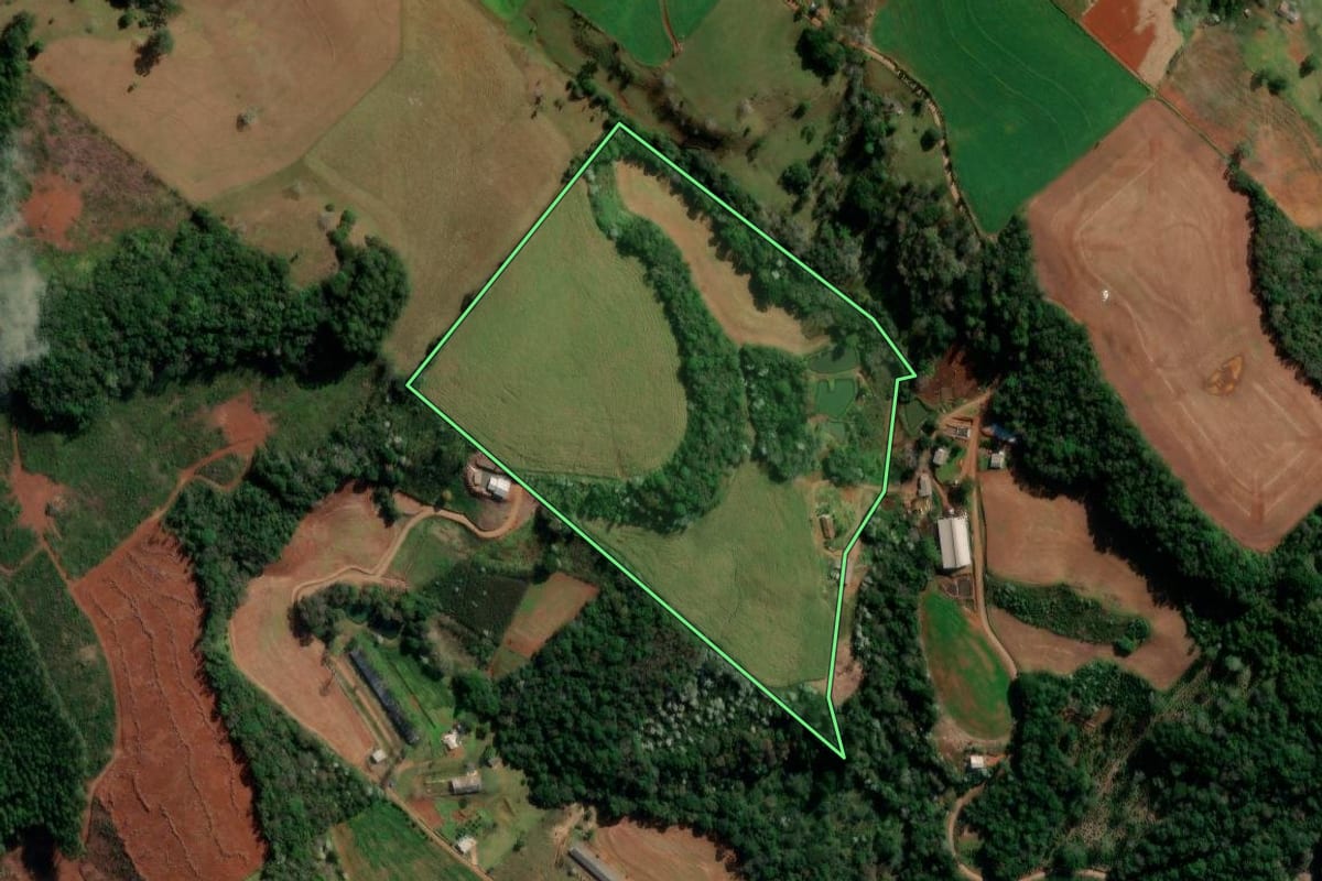 Imagem de satélite do imóvel rural em Francisco Beltrão (PR), com o contorno declarado no CAR desenhado por cima.
