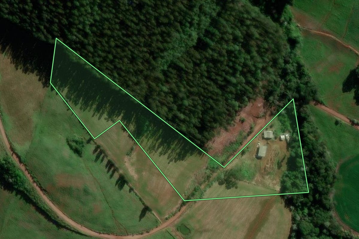 Imagem de satélite do imóvel rural em Francisco Beltrão (PR), com o contorno declarado no CAR desenhado por cima.