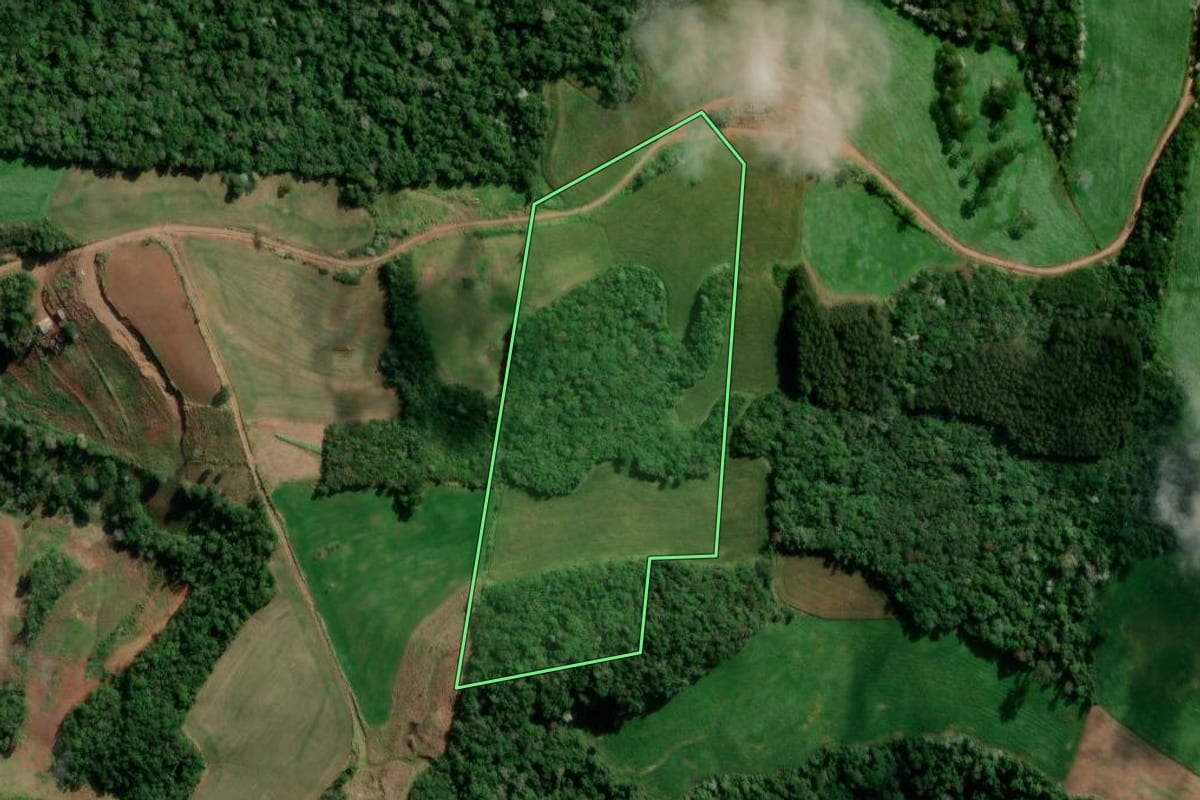 Imagem de satélite do imóvel rural em Francisco Beltrão (PR), com o contorno declarado no CAR desenhado por cima.
