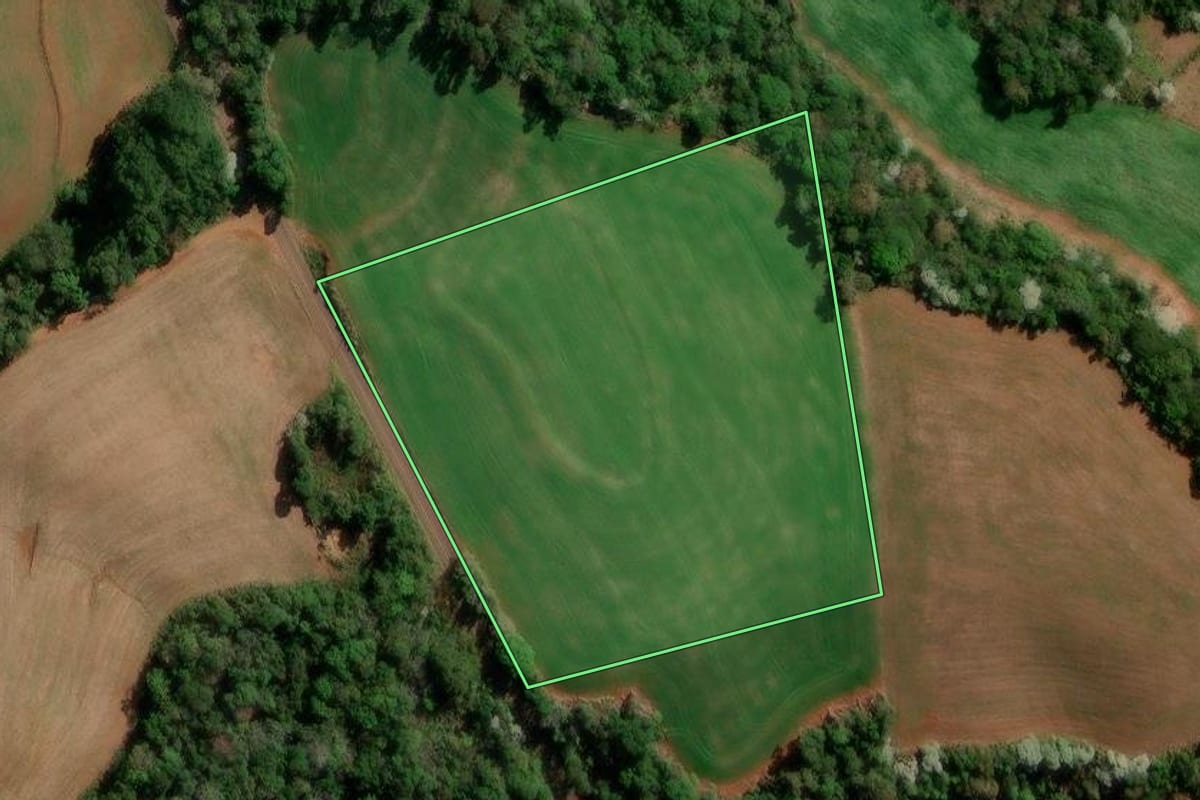 Imagem de satélite do imóvel rural em Francisco Beltrão (PR), com o contorno declarado no CAR desenhado por cima.