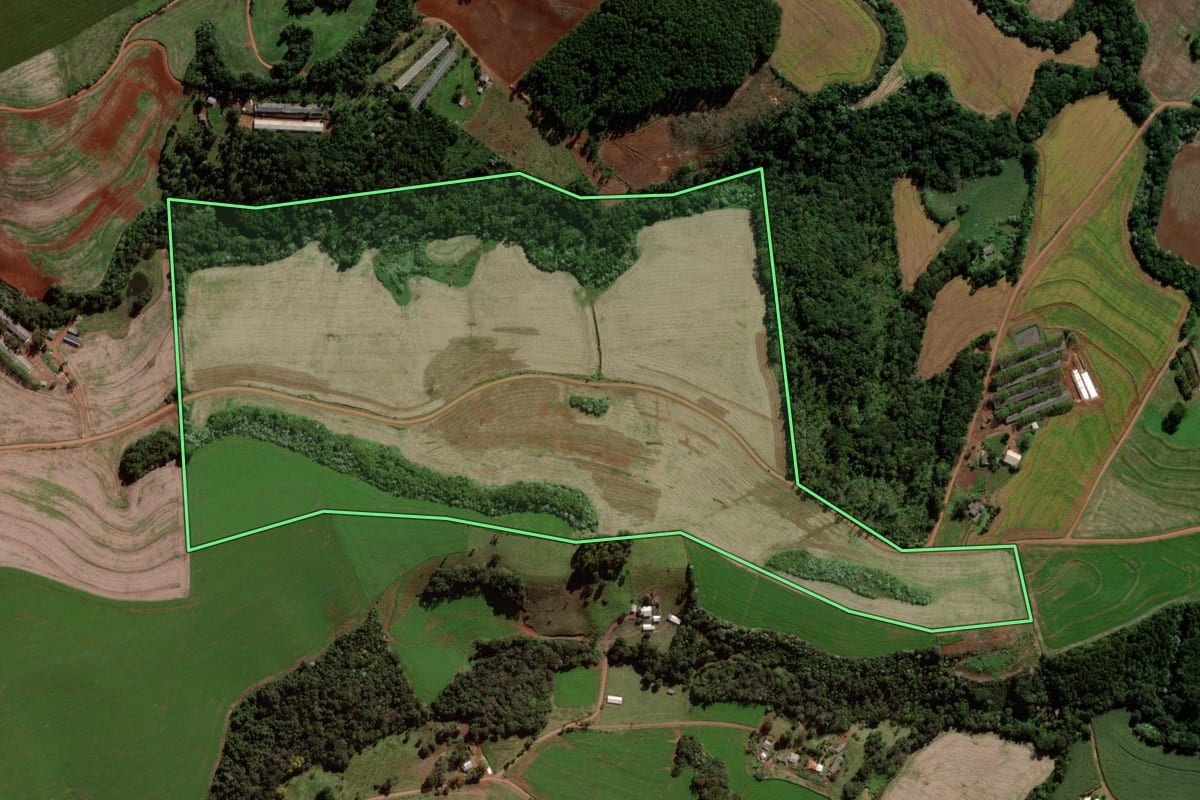 Imagem de satélite do imóvel rural em Francisco Beltrão (PR), com o contorno declarado no CAR desenhado por cima.
