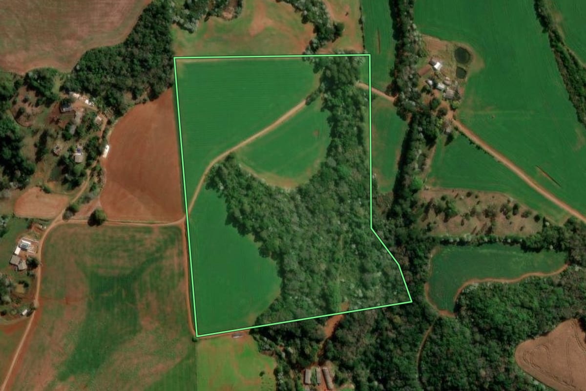 Imagem de satélite do imóvel rural em Francisco Beltrão (PR), com o contorno declarado no CAR desenhado por cima.