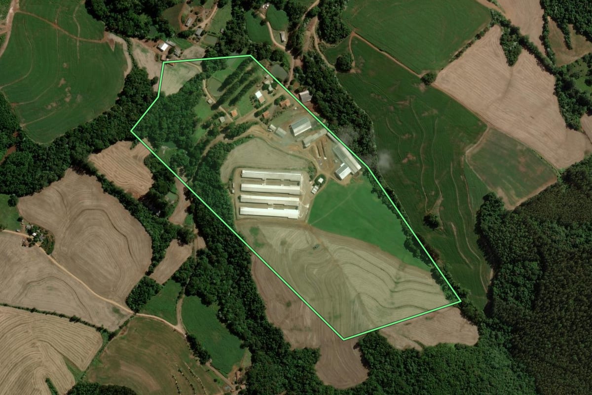 Imagem de satélite do imóvel rural em Francisco Beltrão (PR), com o contorno declarado no CAR desenhado por cima.