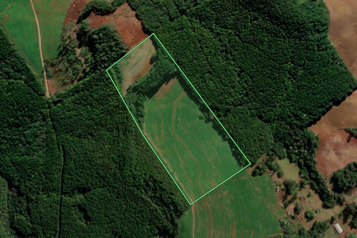 Imagem de satélite do imóvel rural em Francisco Beltrão (PR), com o contorno declarado no CAR desenhado por cima.