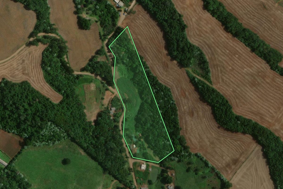 Imagem de satélite do imóvel rural em Francisco Beltrão (PR), com o contorno declarado no CAR desenhado por cima.