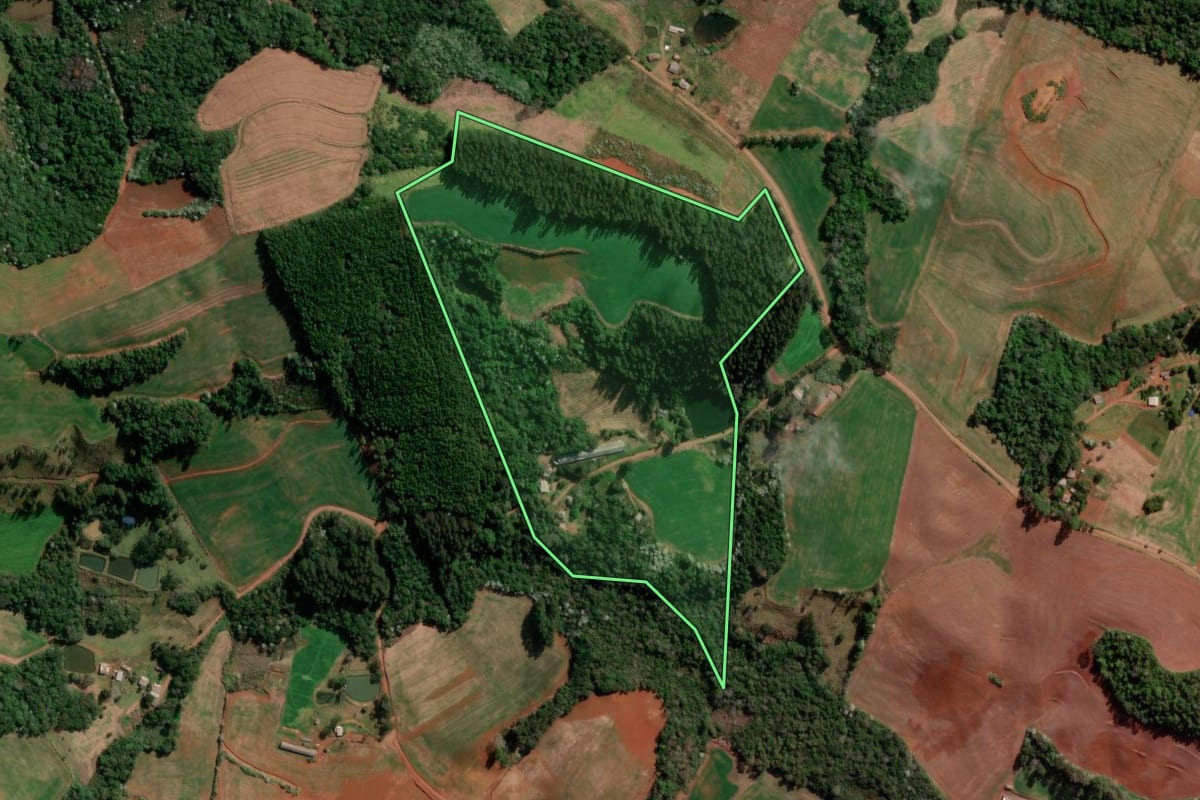 Imagem de satélite do imóvel rural em Francisco Beltrão (PR), com o contorno declarado no CAR desenhado por cima.