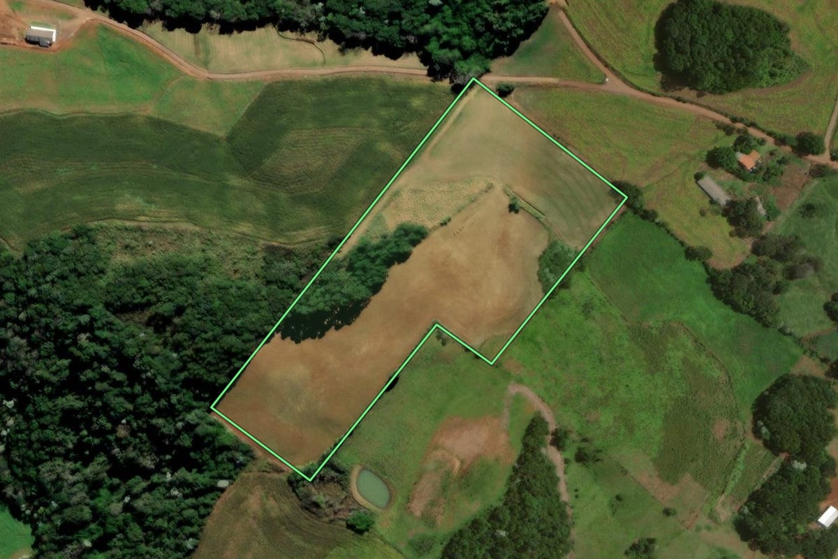 Imagem de satélite do imóvel rural em Francisco Beltrão (PR), com o contorno declarado no CAR desenhado por cima.