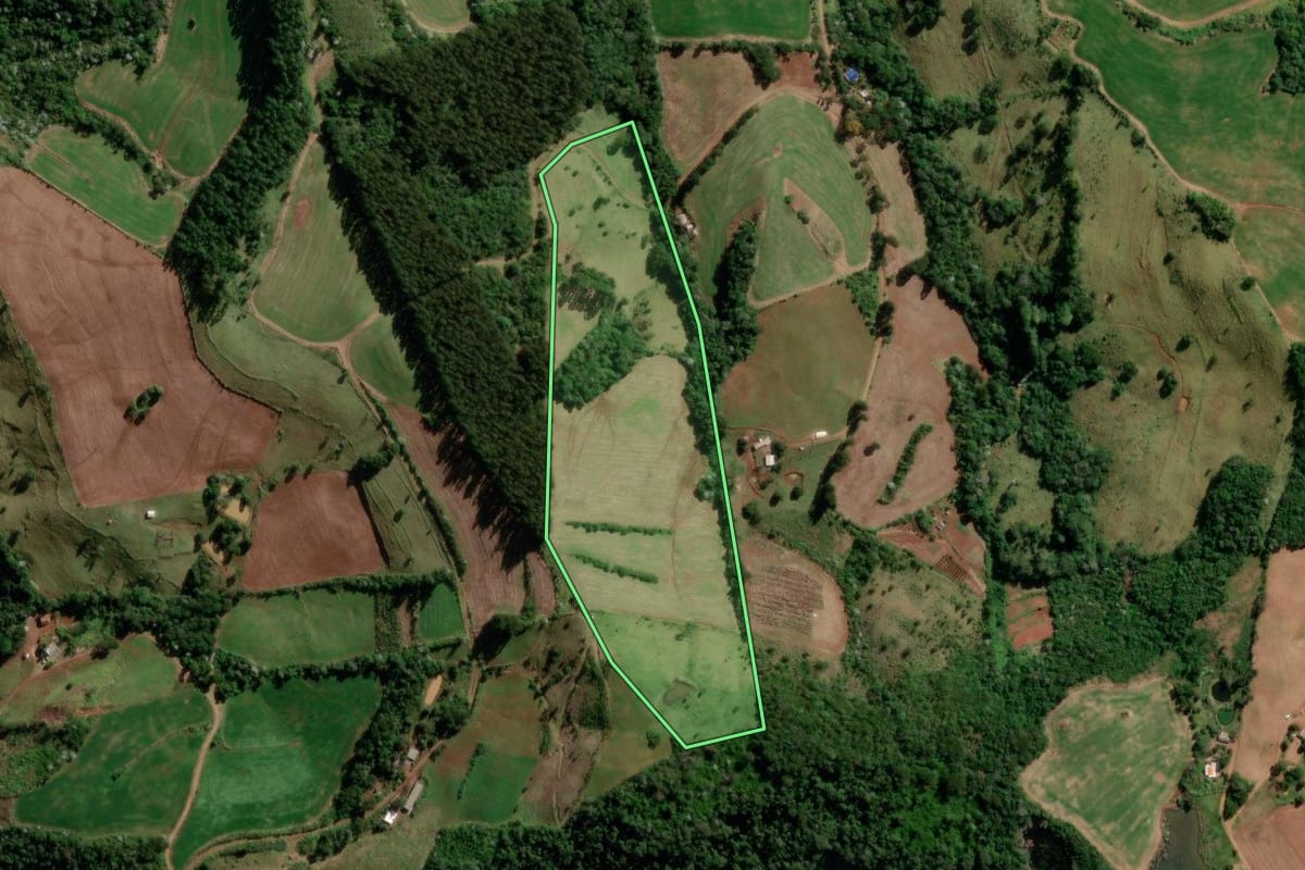 Imagem de satélite do imóvel rural em Francisco Beltrão (PR), com o contorno declarado no CAR desenhado por cima.