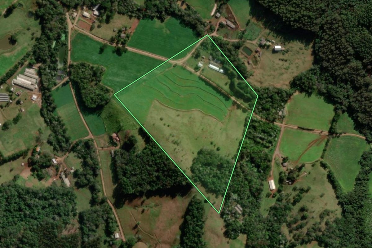 Imagem de satélite do imóvel rural em Francisco Beltrão (PR), com o contorno declarado no CAR desenhado por cima.