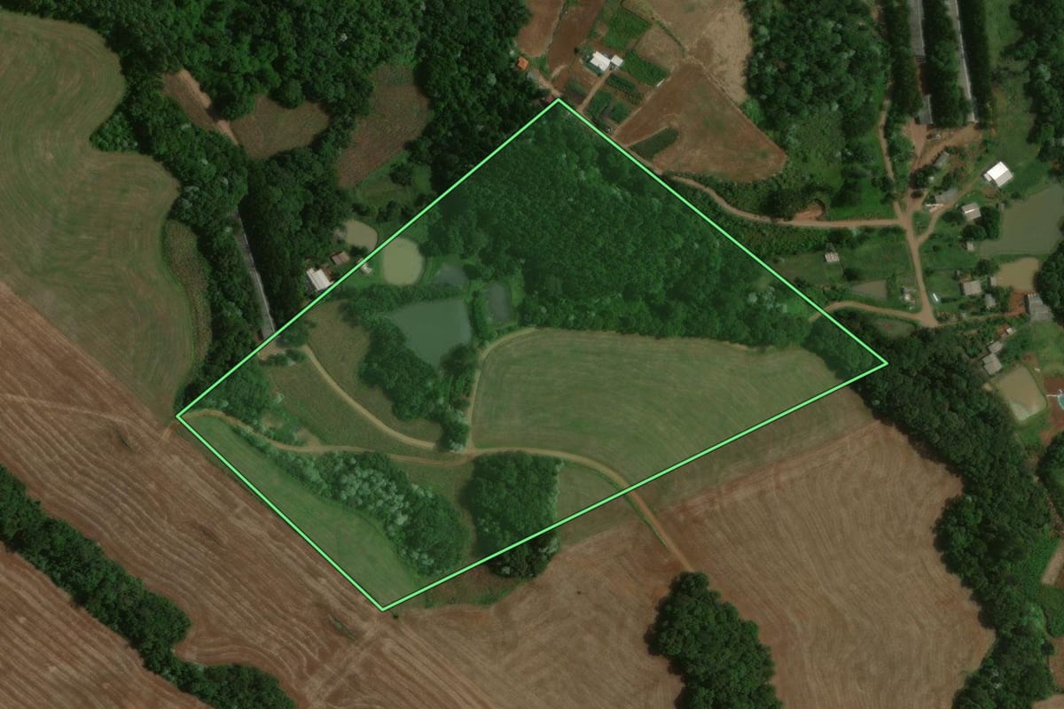 Imagem de satélite do imóvel rural em Francisco Beltrão (PR), com o contorno declarado no CAR desenhado por cima.