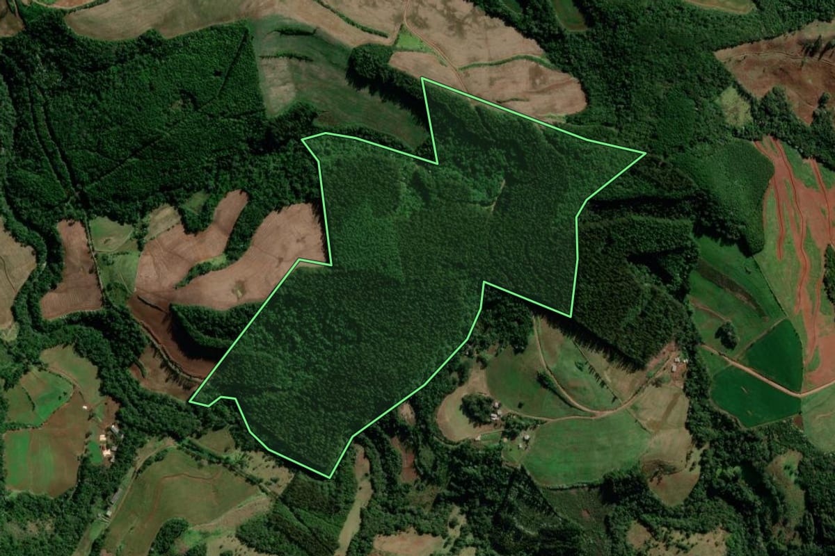 Imagem de satélite do imóvel rural em Francisco Beltrão (PR), com o contorno declarado no CAR desenhado por cima.