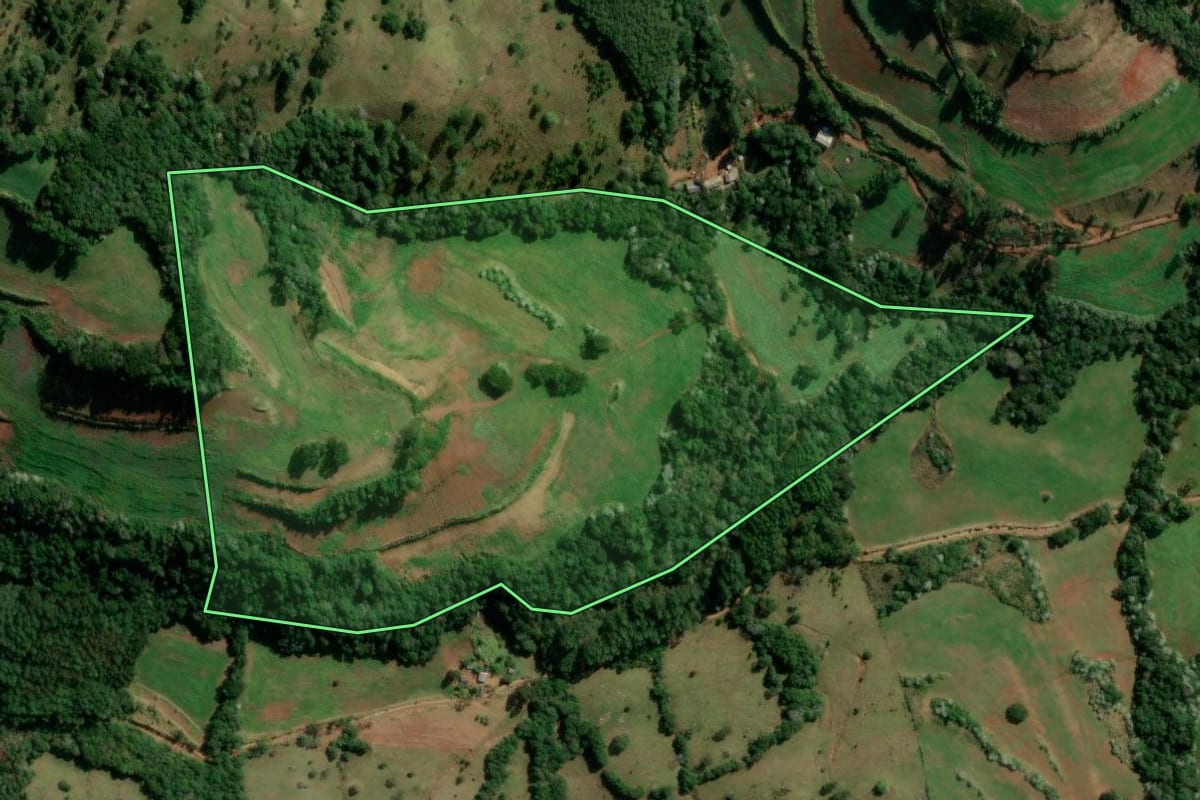 Imagem de satélite do imóvel rural em Francisco Beltrão (PR), com o contorno declarado no CAR desenhado por cima.