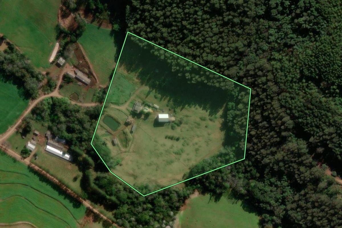 Imagem de satélite do imóvel rural em Francisco Beltrão (PR), com o contorno declarado no CAR desenhado por cima.
