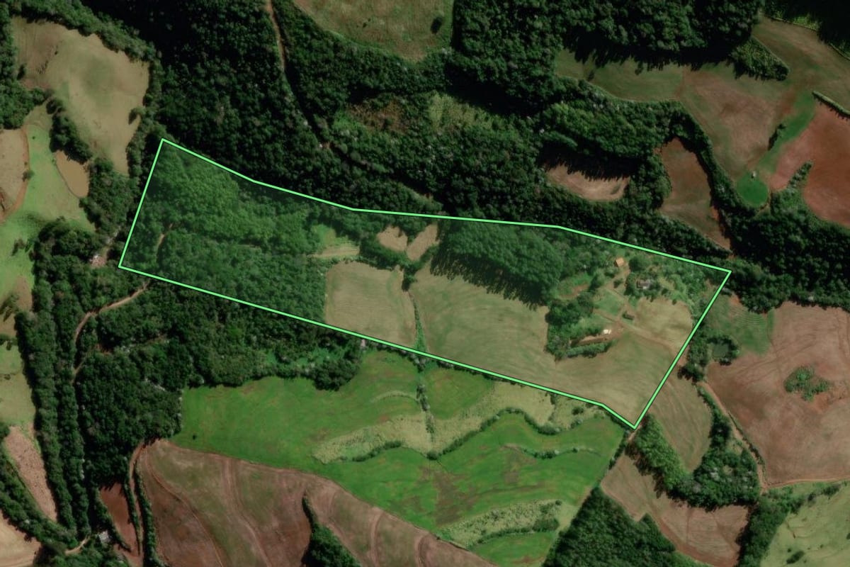 Imagem de satélite do imóvel rural em Francisco Beltrão (PR), com o contorno declarado no CAR desenhado por cima.