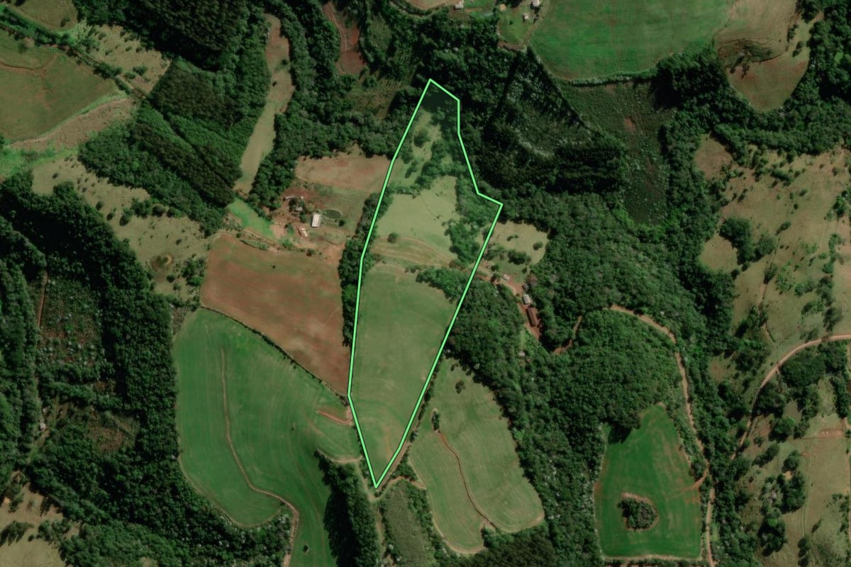 Imagem de satélite do imóvel rural em Francisco Beltrão (PR), com o contorno declarado no CAR desenhado por cima.