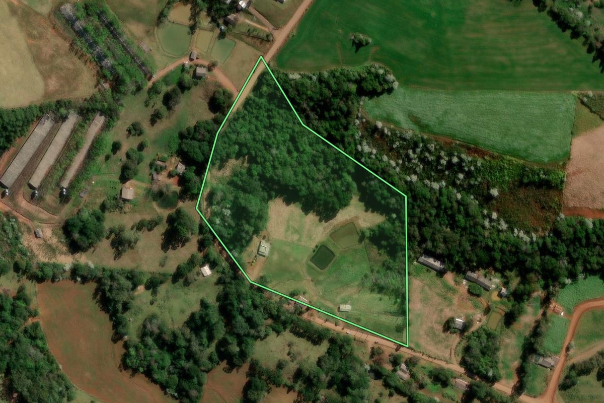 Imagem de satélite do imóvel rural em Francisco Beltrão (PR), com o contorno declarado no CAR desenhado por cima.
