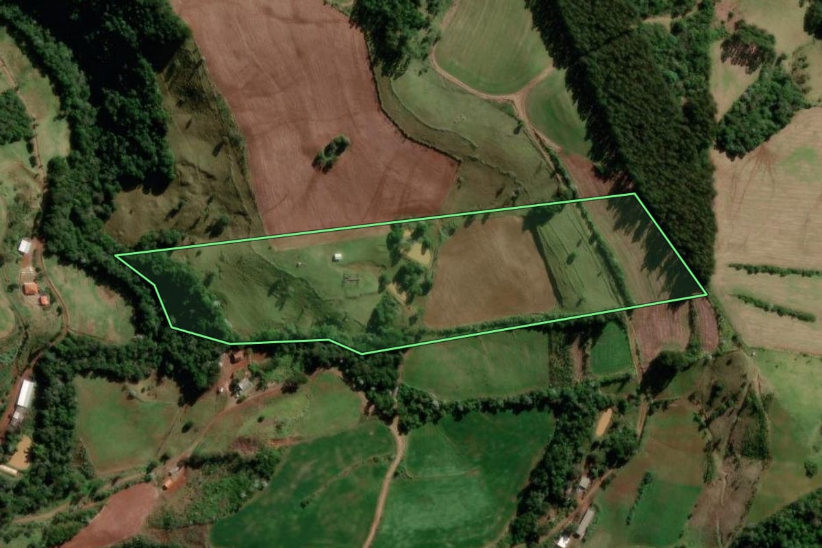 Imagem de satélite do imóvel rural em Francisco Beltrão (PR), com o contorno declarado no CAR desenhado por cima.