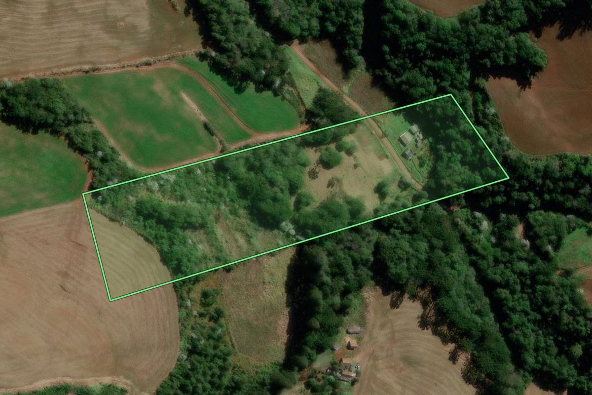 Imagem de satélite do imóvel rural em Francisco Beltrão (PR), com o contorno declarado no CAR desenhado por cima.