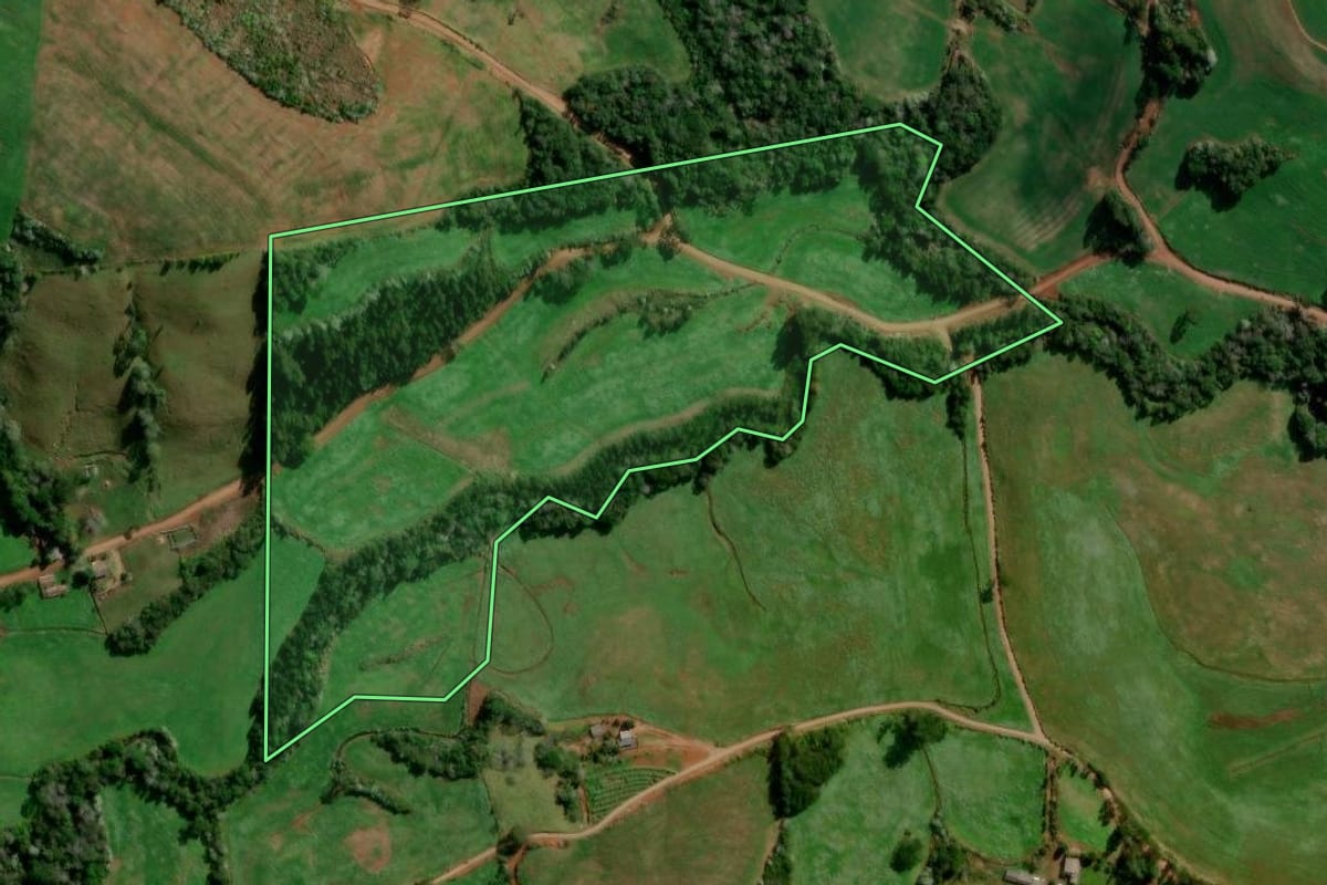 Imagem de satélite do imóvel rural em Francisco Beltrão (PR), com o contorno declarado no CAR desenhado por cima.