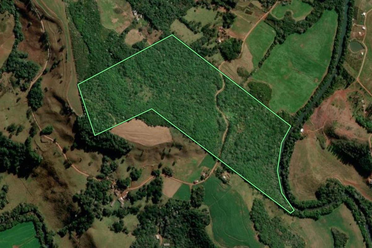 Imagem de satélite do imóvel rural em Francisco Beltrão (PR), com o contorno declarado no CAR desenhado por cima.