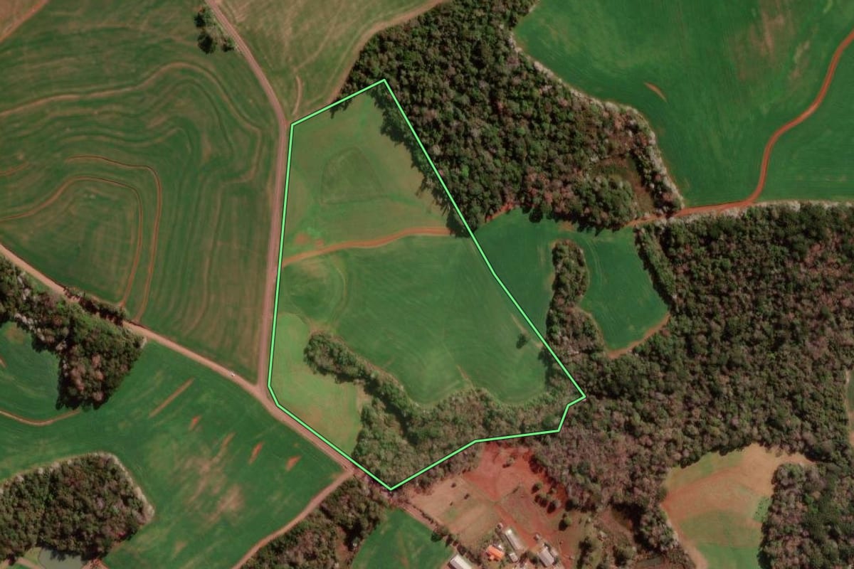 Imagem de satélite do imóvel rural em Francisco Beltrão (PR), com o contorno declarado no CAR desenhado por cima.