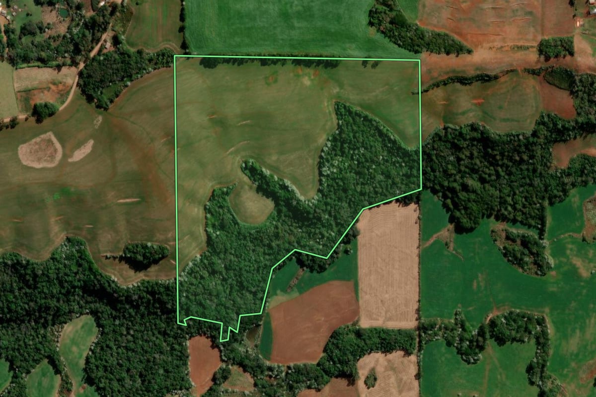 Imagem de satélite do imóvel rural em Francisco Beltrão (PR), com o contorno declarado no CAR desenhado por cima.