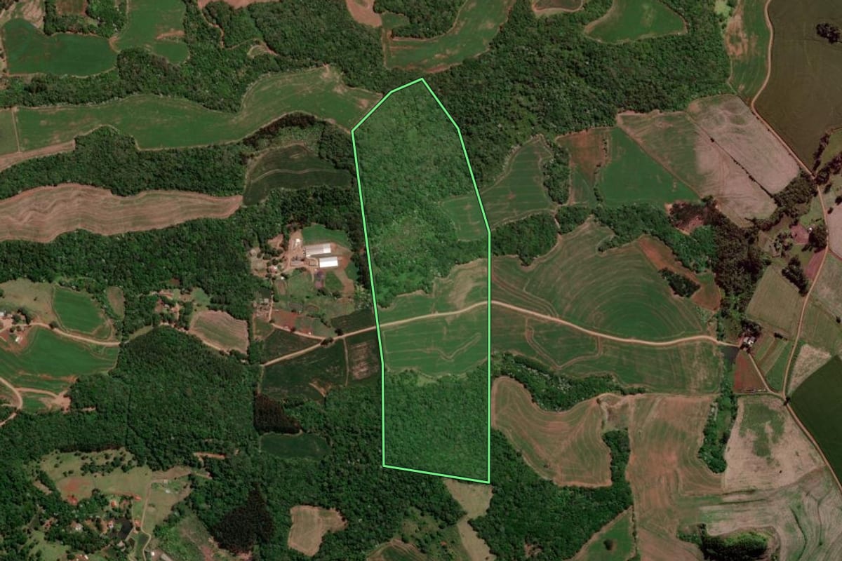 Imagem de satélite do imóvel rural em Francisco Beltrão (PR), com o contorno declarado no CAR desenhado por cima.