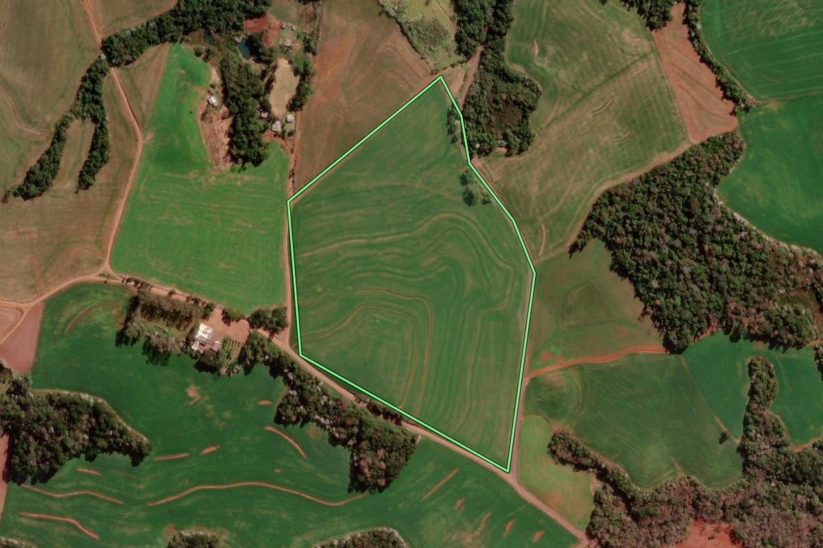 Imagem de satélite do imóvel rural em Francisco Beltrão (PR), com o contorno declarado no CAR desenhado por cima.