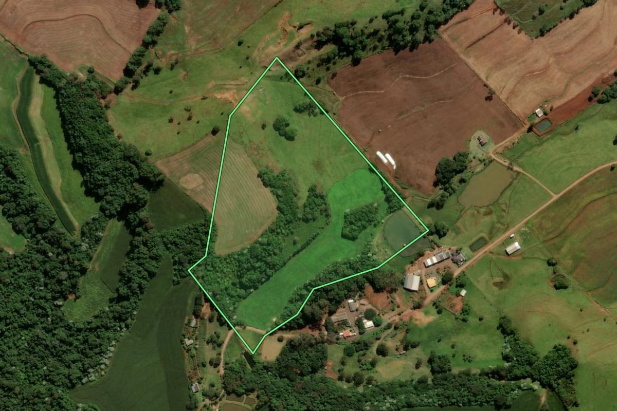 Imagem de satélite do imóvel rural em Francisco Beltrão (PR), com o contorno declarado no CAR desenhado por cima.