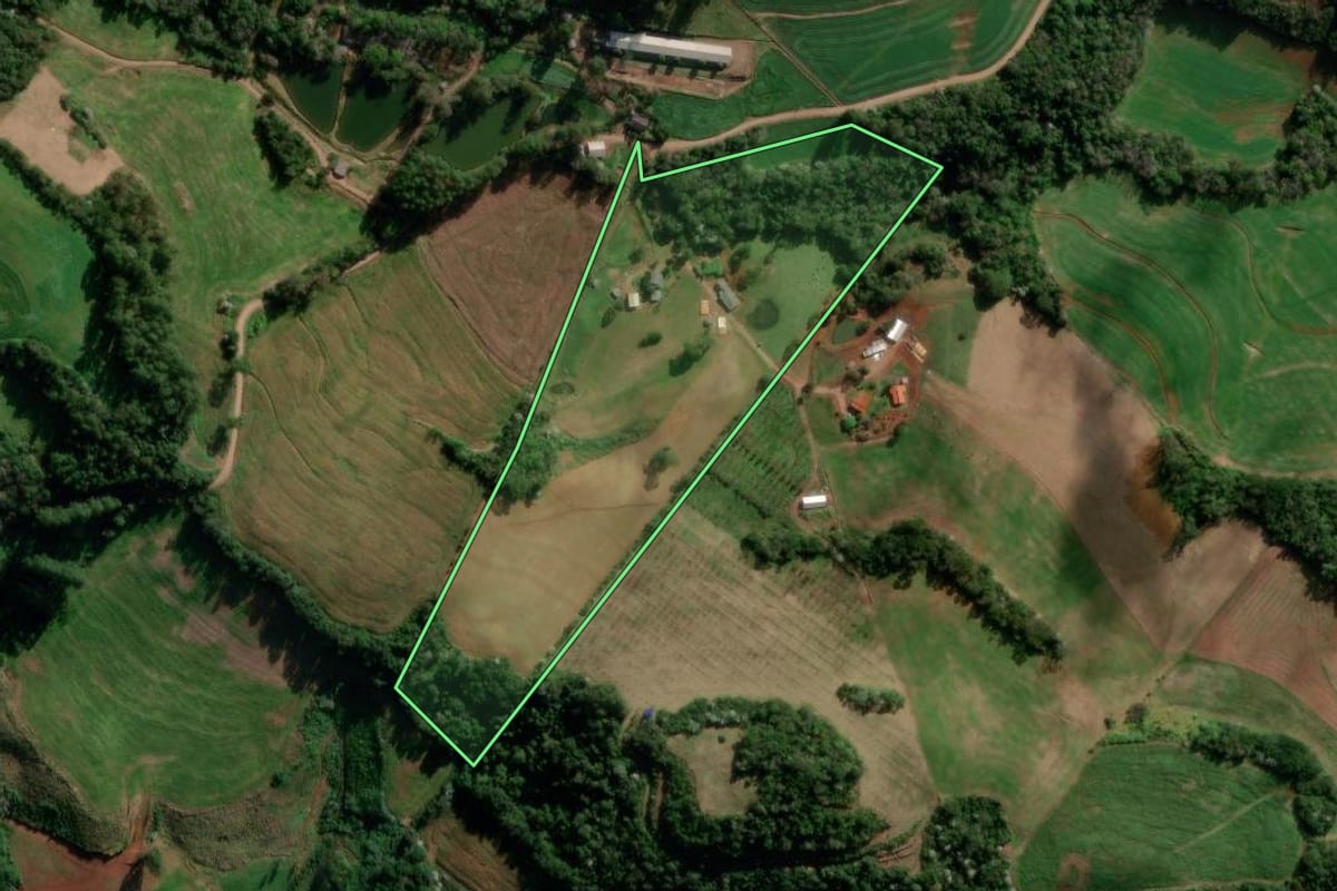 Imagem de satélite do imóvel rural em Francisco Beltrão (PR), com o contorno declarado no CAR desenhado por cima.