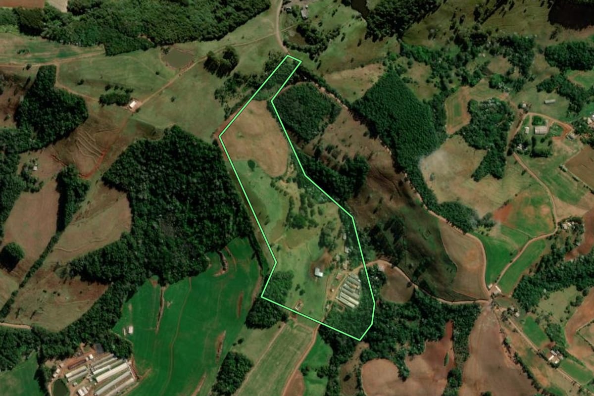 Imagem de satélite do imóvel rural em Francisco Beltrão (PR), com o contorno declarado no CAR desenhado por cima.