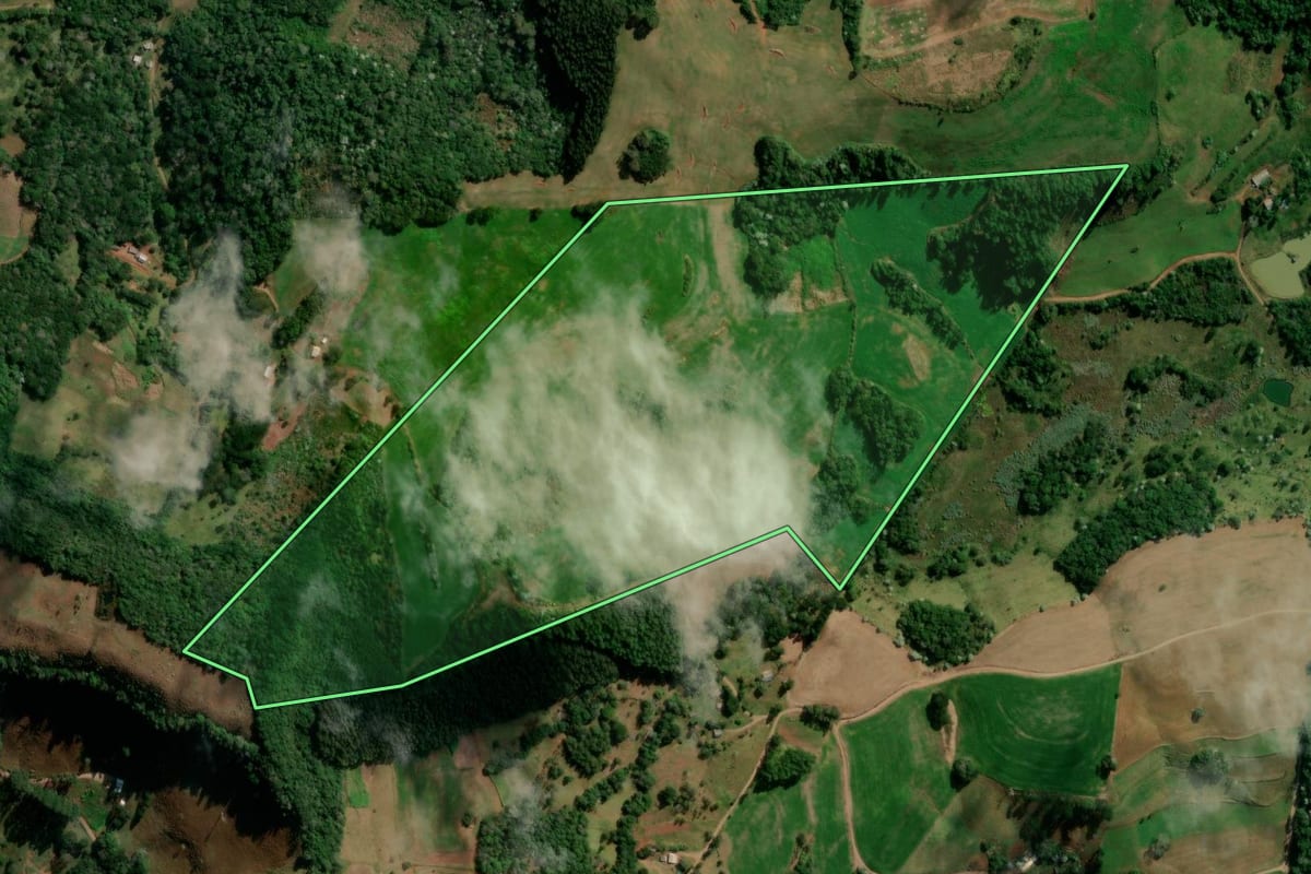 Imagem de satélite do imóvel rural em Francisco Beltrão (PR), com o contorno declarado no CAR desenhado por cima.