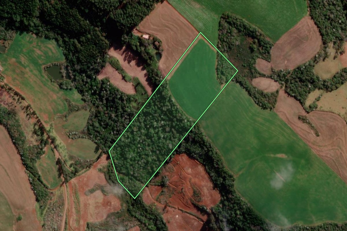 Imagem de satélite do imóvel rural em Francisco Beltrão (PR), com o contorno declarado no CAR desenhado por cima.