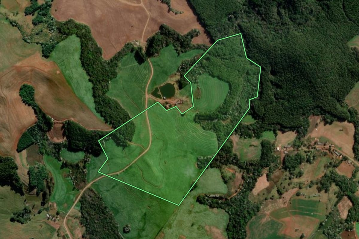 Imagem de satélite do imóvel rural em Francisco Beltrão (PR), com o contorno declarado no CAR desenhado por cima.