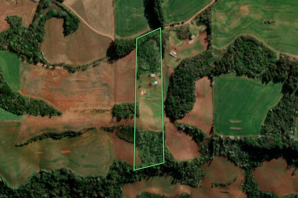 Imagem de satélite do imóvel rural em Francisco Beltrão (PR), com o contorno declarado no CAR desenhado por cima.