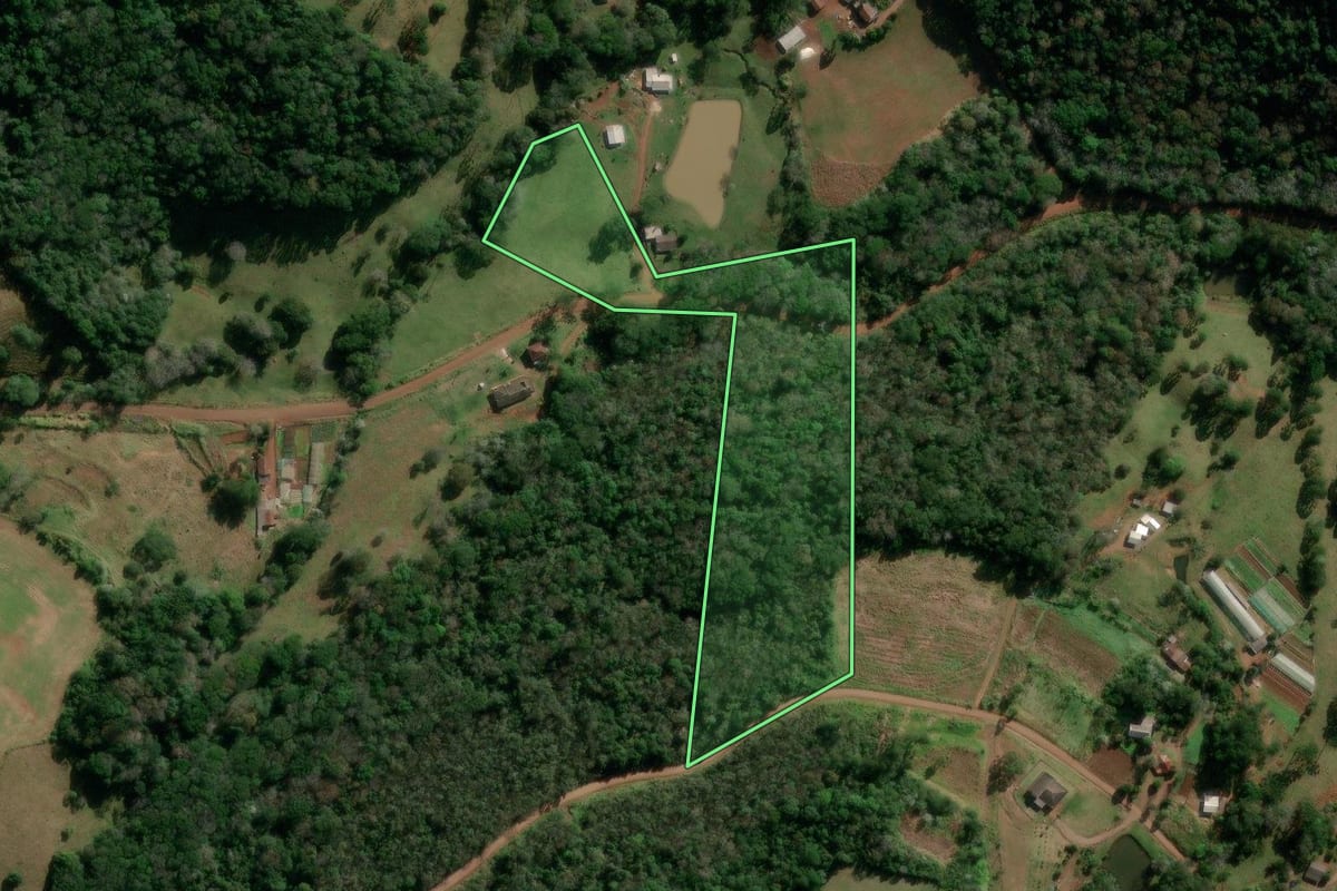 Imagem de satélite do imóvel rural em Francisco Beltrão (PR), com o contorno declarado no CAR desenhado por cima.