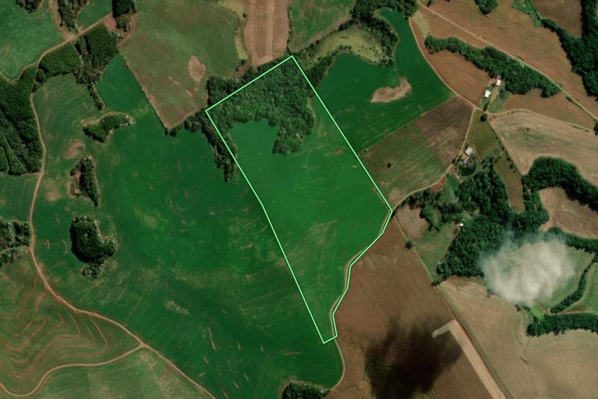 Imagem de satélite do imóvel rural em Francisco Beltrão (PR), com o contorno declarado no CAR desenhado por cima.