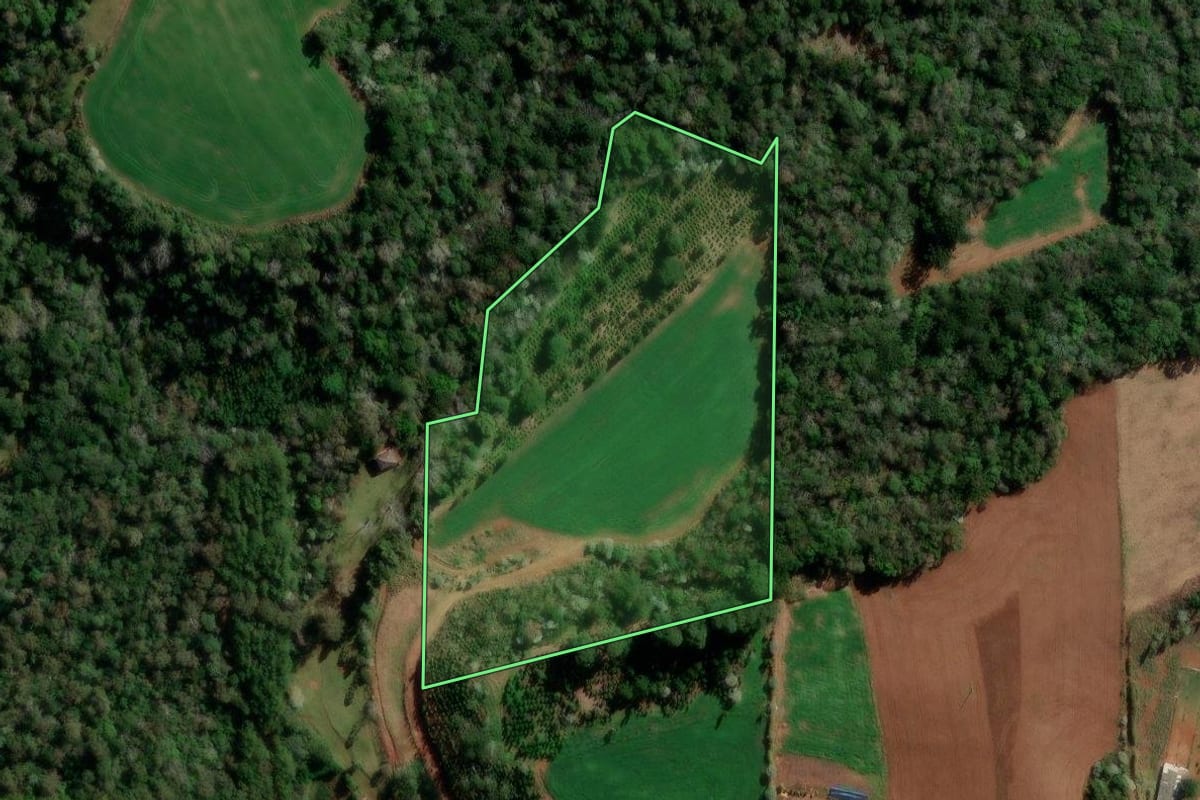 Imagem de satélite do imóvel rural em Francisco Beltrão (PR), com o contorno declarado no CAR desenhado por cima.