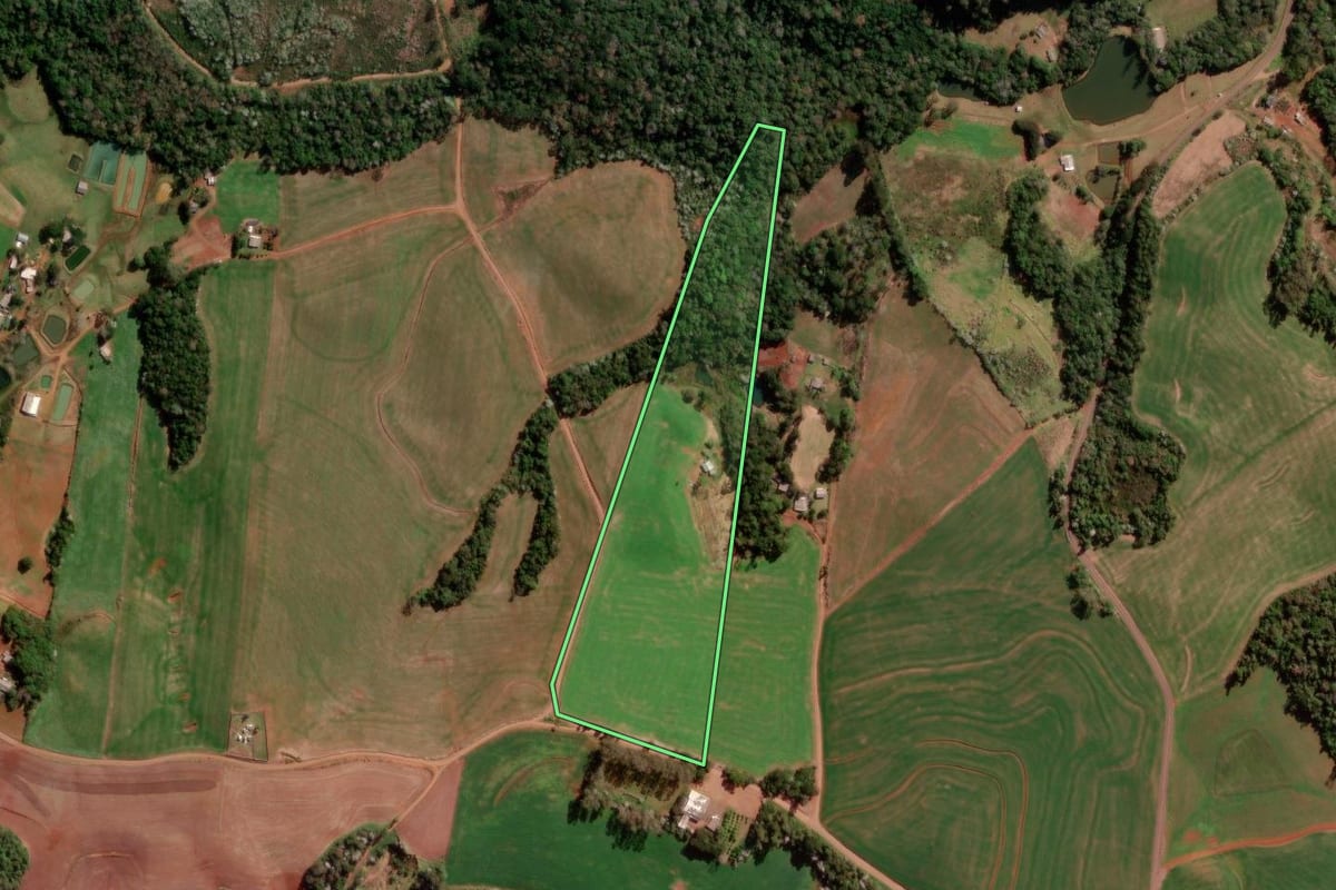 Imagem de satélite do imóvel rural em Francisco Beltrão (PR), com o contorno declarado no CAR desenhado por cima.