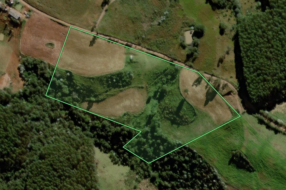Imagem de satélite do imóvel rural em Francisco Beltrão (PR), com o contorno declarado no CAR desenhado por cima.