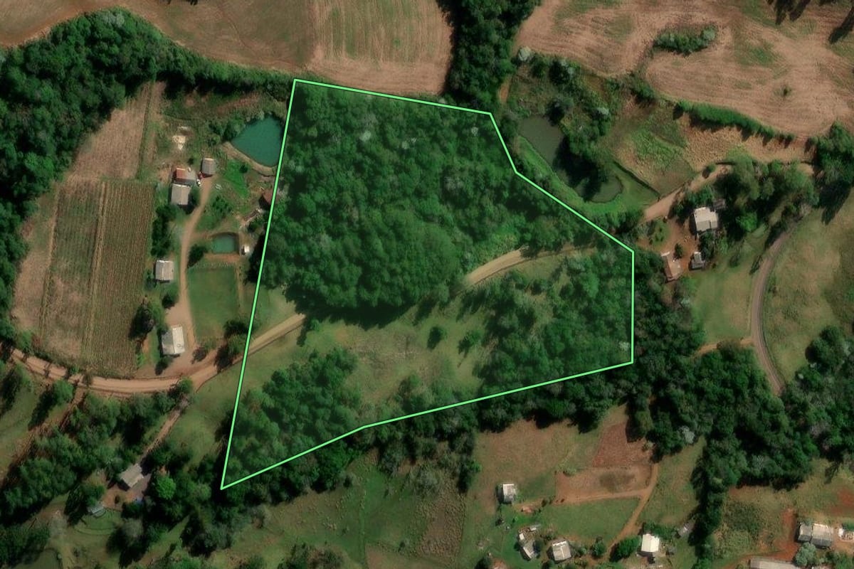 Imagem de satélite do imóvel rural em Francisco Beltrão (PR), com o contorno declarado no CAR desenhado por cima.