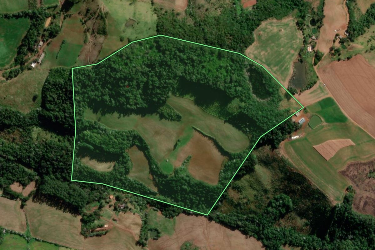 Imagem de satélite do imóvel rural em Francisco Beltrão (PR), com o contorno declarado no CAR desenhado por cima.