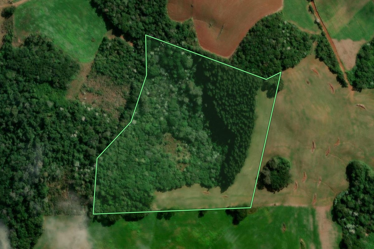 Imagem de satélite do imóvel rural em Francisco Beltrão (PR), com o contorno declarado no CAR desenhado por cima.