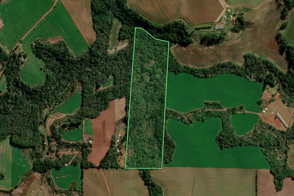 Imagem de satélite do imóvel rural em Francisco Beltrão (PR), com o contorno declarado no CAR desenhado por cima.