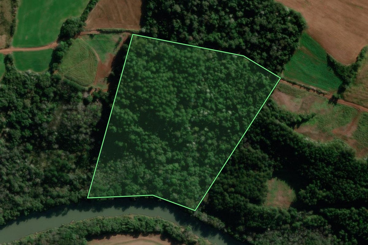 Imagem de satélite do imóvel rural em Francisco Beltrão (PR), com o contorno declarado no CAR desenhado por cima.