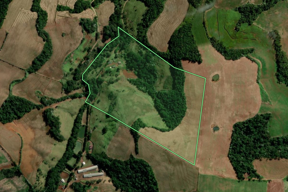 Imagem de satélite do imóvel rural em Francisco Beltrão (PR), com o contorno declarado no CAR desenhado por cima.