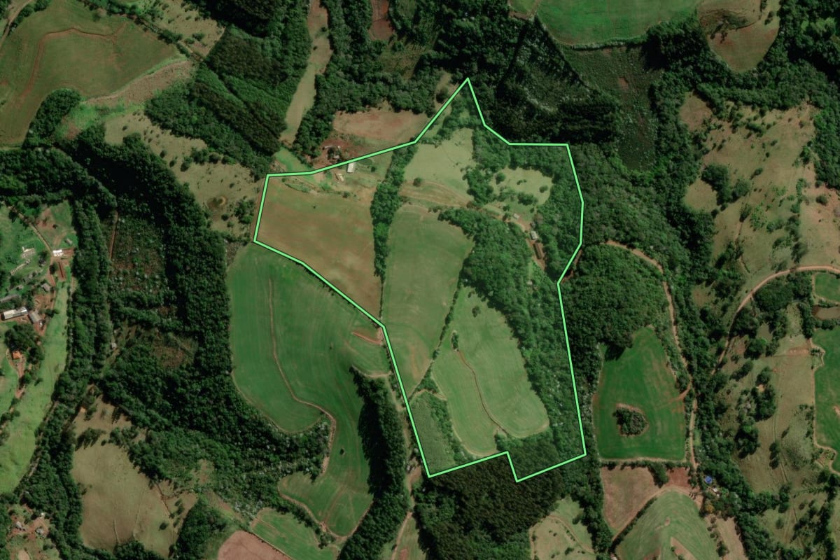 Imagem de satélite do imóvel rural em Francisco Beltrão (PR), com o contorno declarado no CAR desenhado por cima.
