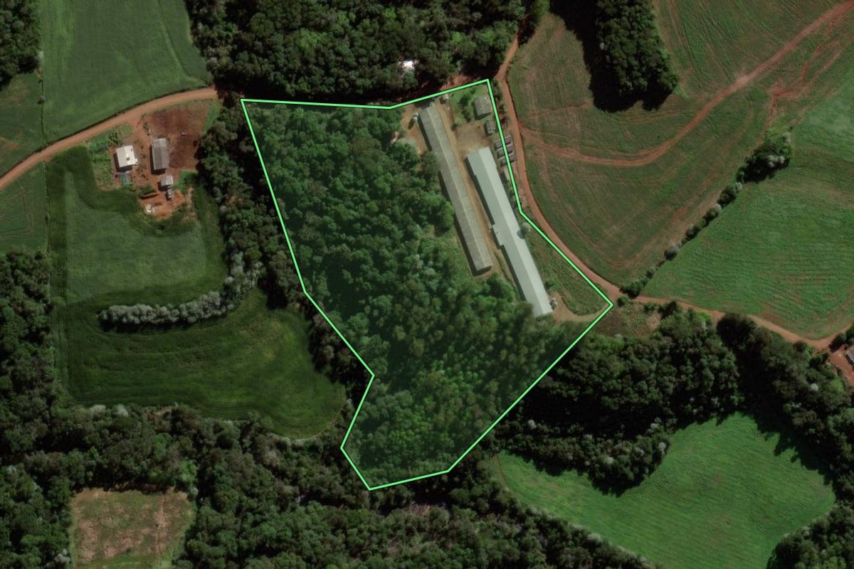 Imagem de satélite do imóvel rural em Francisco Beltrão (PR), com o contorno declarado no CAR desenhado por cima.