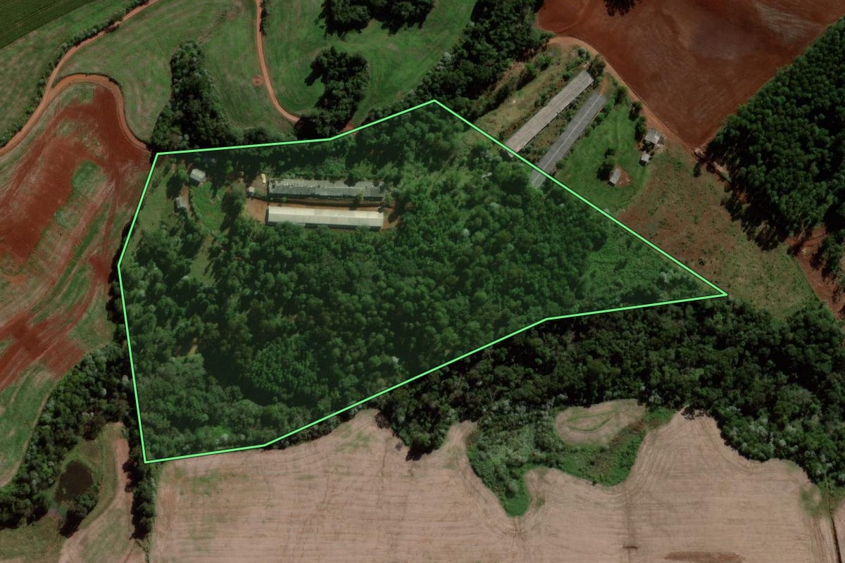 Imagem de satélite do imóvel rural em Francisco Beltrão (PR), com o contorno declarado no CAR desenhado por cima.